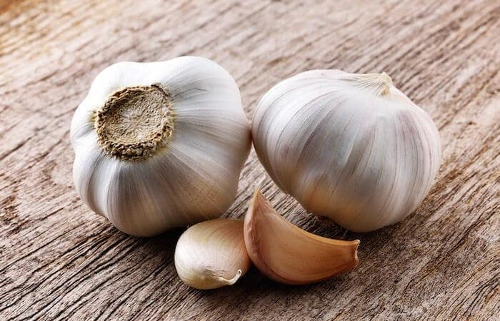 garlic