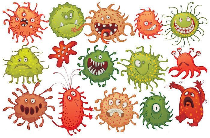 MouthBody Connection Why We Shouldn’t Ignore the Oral MouthBody Connection Why We Shouldn’t Ignore the Oral