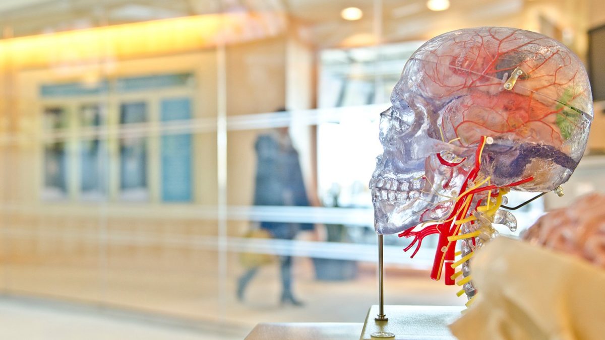 Can gingivitis cause Alzheimer's disease? [A Scientific Review]