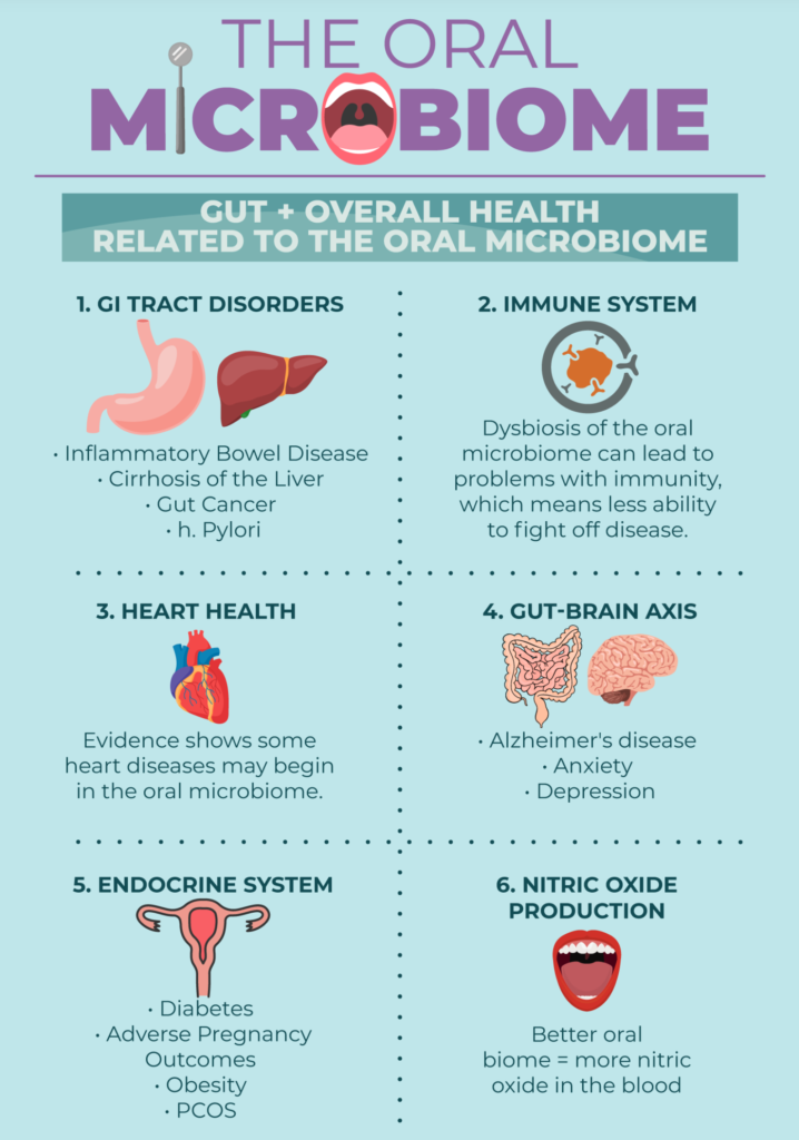 oral microbiome infographic