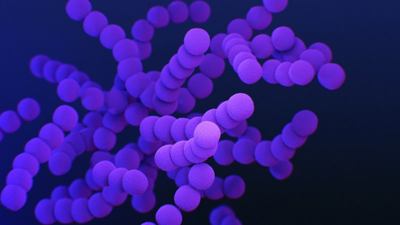 photo-streptococcus-bacteria-cdc